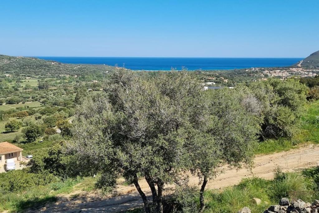 Charmant Petit Logement A 3 Kms De La Plage Belgodère Exterior foto